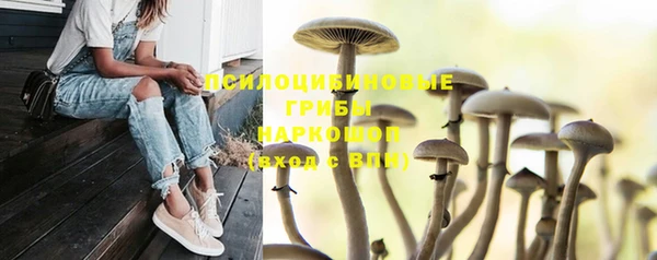 дмт Нязепетровск