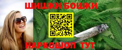 МДПВ Обь