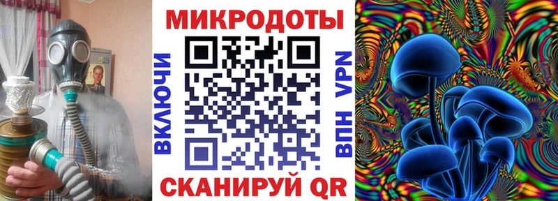 Псилоцибиновые грибы MAGIC MUSHROOMS  где продают   Энгельс 