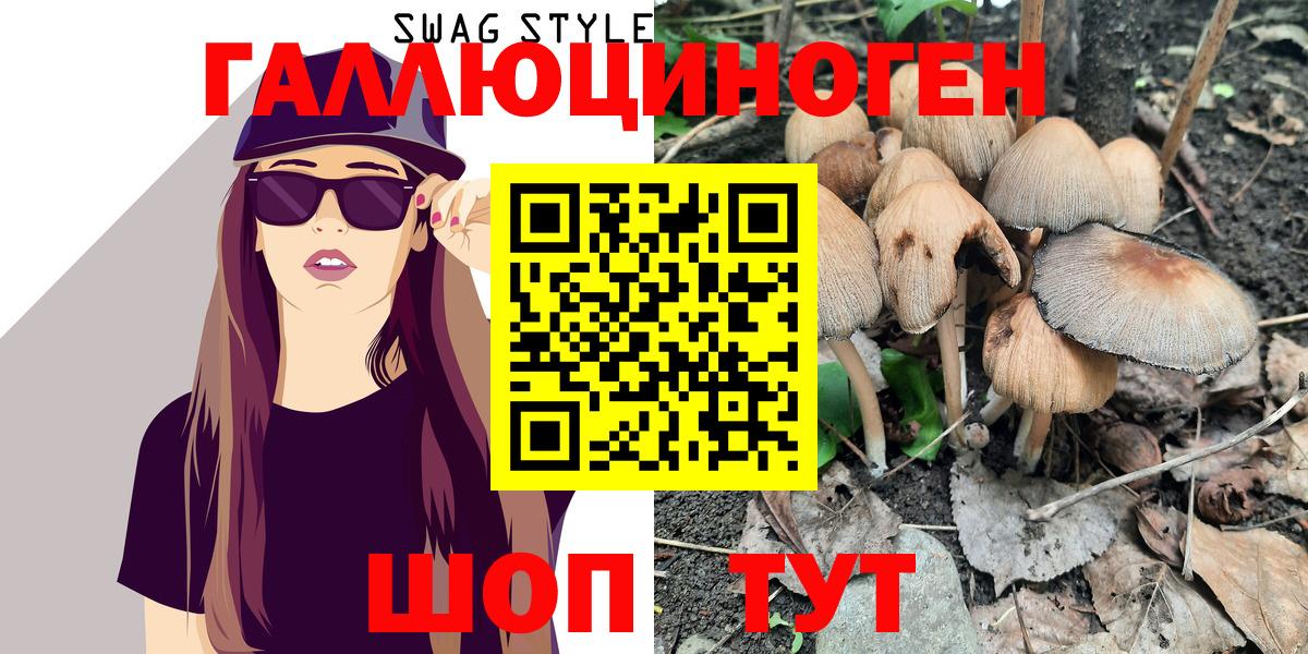 Энгельс  Галлюциногенные грибы Magic Shrooms  Псилоцибиновые грибы GOLDEN TEACHER  Вход с VPN 